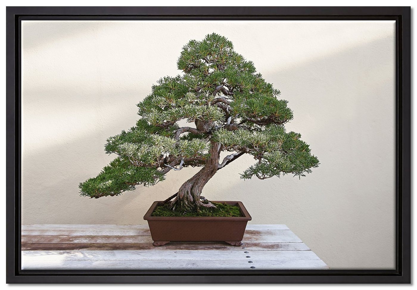Pixxprint Leinwandbild Bonsai Baum, Wanddekoration (1 St), Leinwandbild fertig bespannt, in einem Schattenfugen-Bilderrahmen gefasst, inkl. Zackenaufhänger von Pixxprint