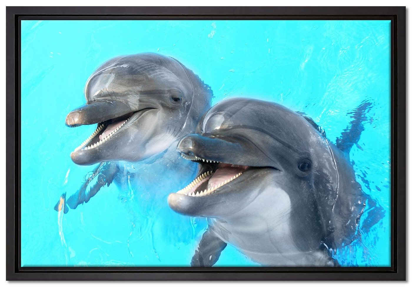 Pixxprint Leinwandbild Delfinpaar, Wanddekoration (1 St), Leinwandbild fertig bespannt, in einem Schattenfugen-Bilderrahmen gefasst, inkl. Zackenaufhänger von Pixxprint