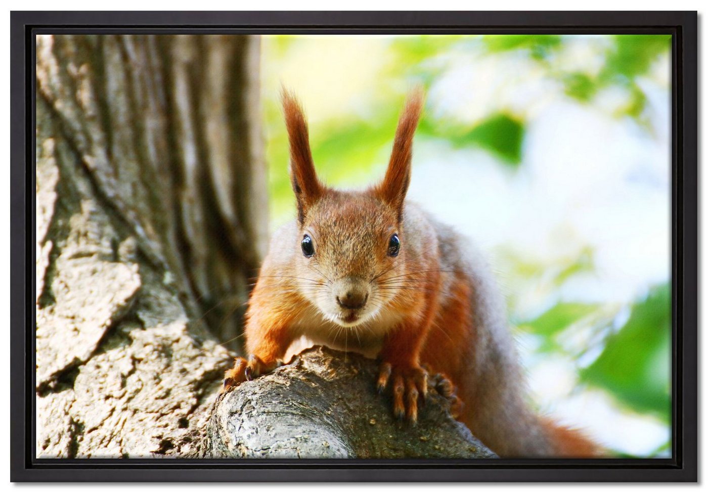 Pixxprint Leinwandbild Eichhörnchen auf dem Baum, Wanddekoration (1 St), Leinwandbild fertig bespannt, in einem Schattenfugen-Bilderrahmen gefasst, inkl. Zackenaufhänger von Pixxprint