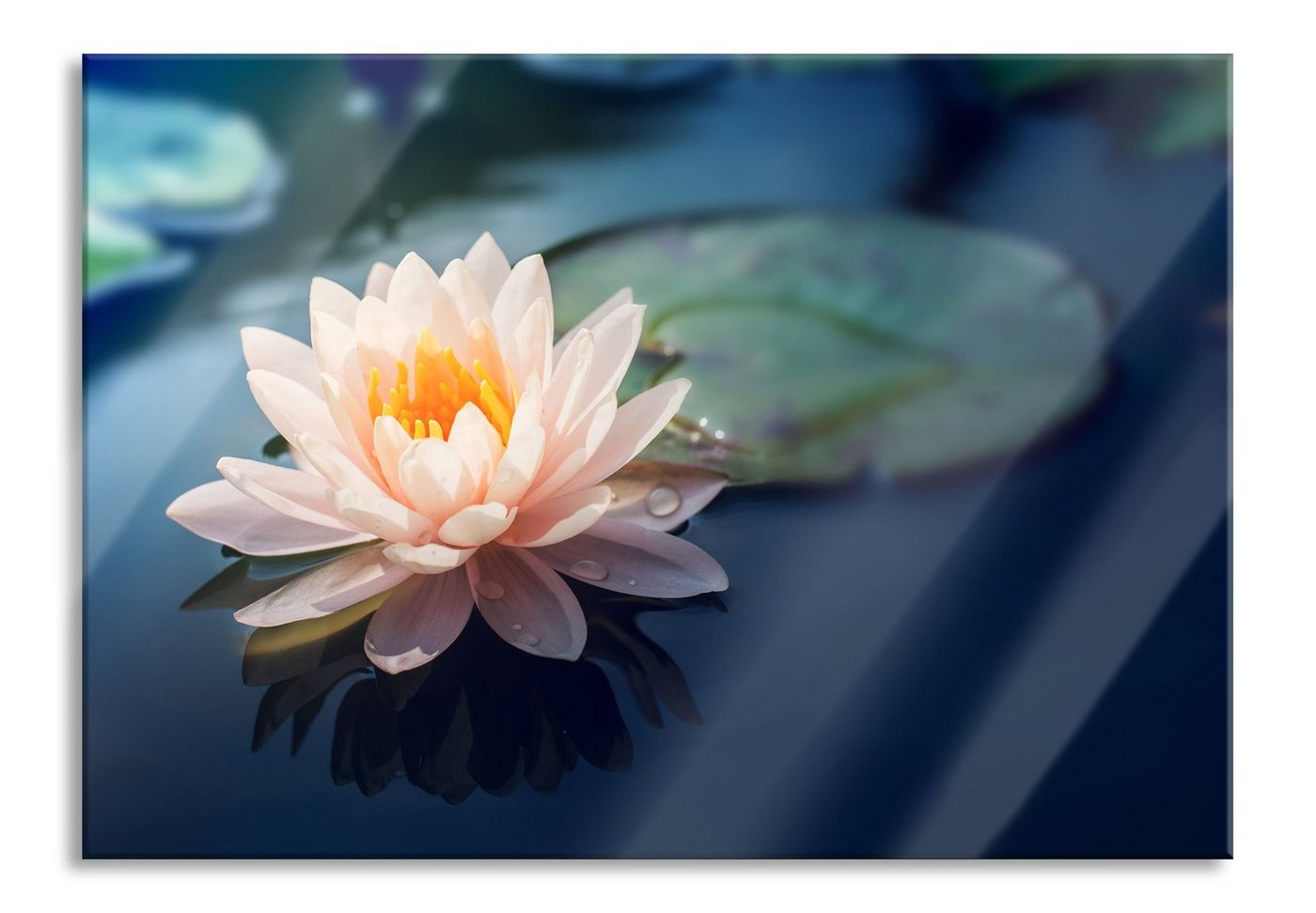 Pixxprint Glasbild Eine rosa Lotusblume in Teich, Eine rosa Lotusblume in Teich (1 St), Glasbild aus Echtglas, inkl. Aufhängungen und Abstandshalter von Pixxprint