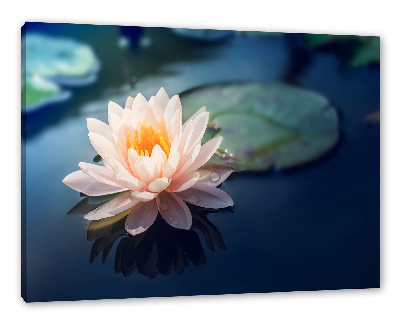 Pixxprint Leinwandbild Eine rosa Lotusblume in Teich, Eine rosa Lotusblume in Teich (1 St), Leinwandbild fertig bespannt, inkl. Zackenaufhänger von Pixxprint