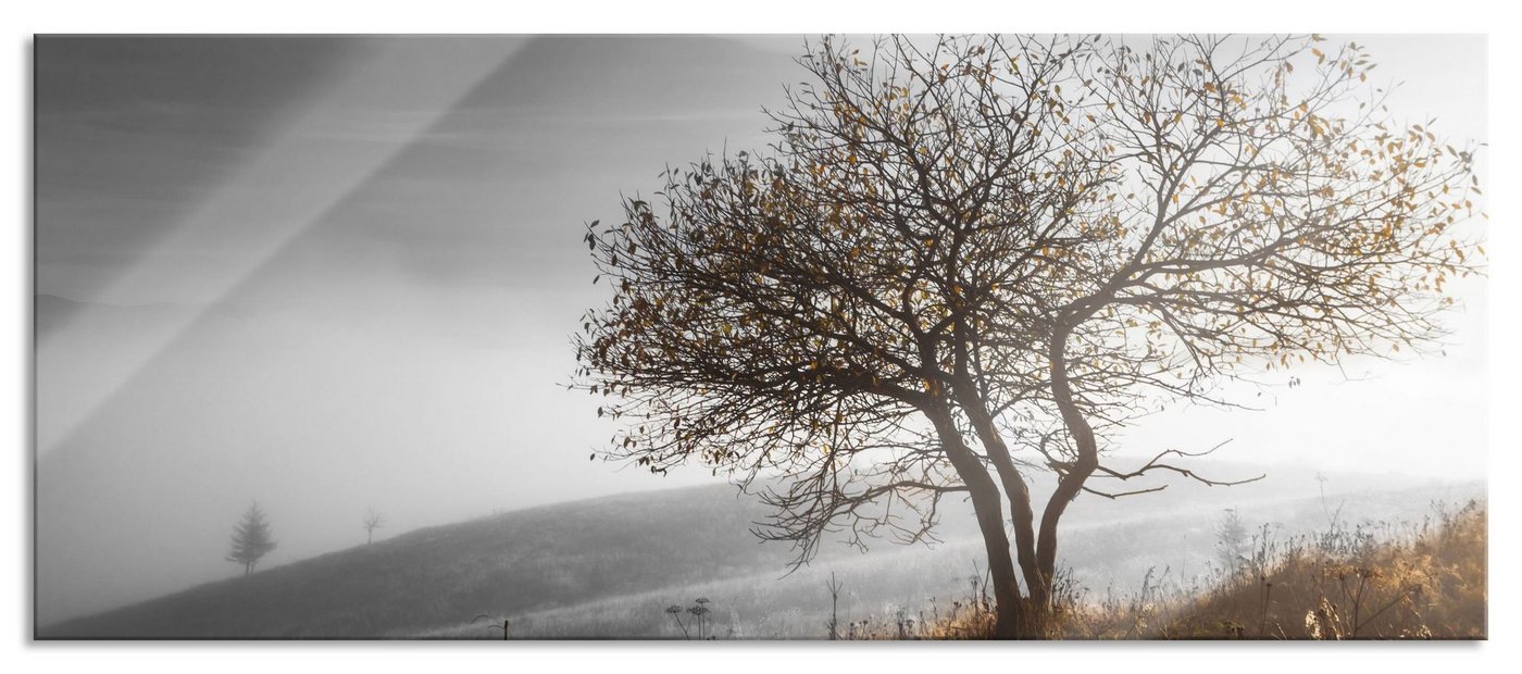 Pixxprint Glasbild Einsamer Baum auf Berg, Einsamer Baum auf Berg (1 St), Glasbild aus Echtglas, inkl. Aufhängungen und Abstandshalter von Pixxprint