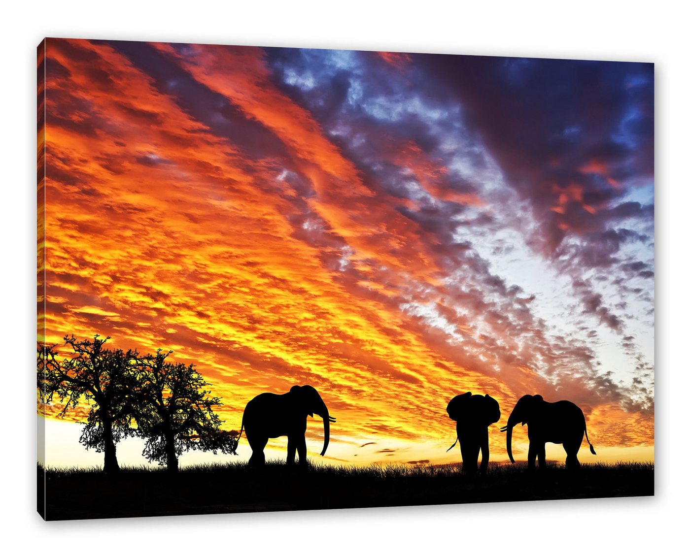 Pixxprint Leinwandbild Elefanten in Wüste, Elefanten in Wüste (1 St), Leinwandbild fertig bespannt, inkl. Zackenaufhänger von Pixxprint