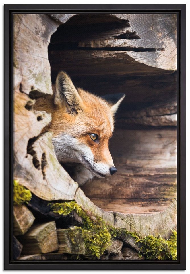 Pixxprint Leinwandbild Fuchs im Baumstamm, Wanddekoration (1 St), Leinwandbild fertig bespannt, in einem Schattenfugen-Bilderrahmen gefasst, inkl. Zackenaufhänger von Pixxprint