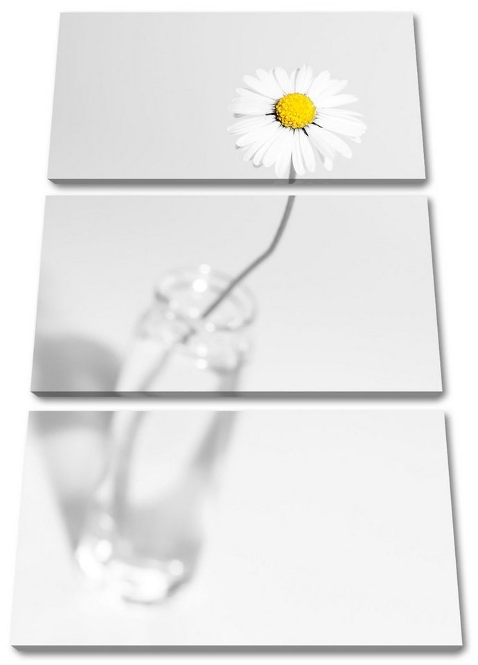 Pixxprint Leinwandbild Gänseblümchen im Glas, Gänseblümchen im Glas 3Teiler (120x80cm) (1 St), Leinwandbild fertig bespannt, inkl. Zackenaufhänger von Pixxprint