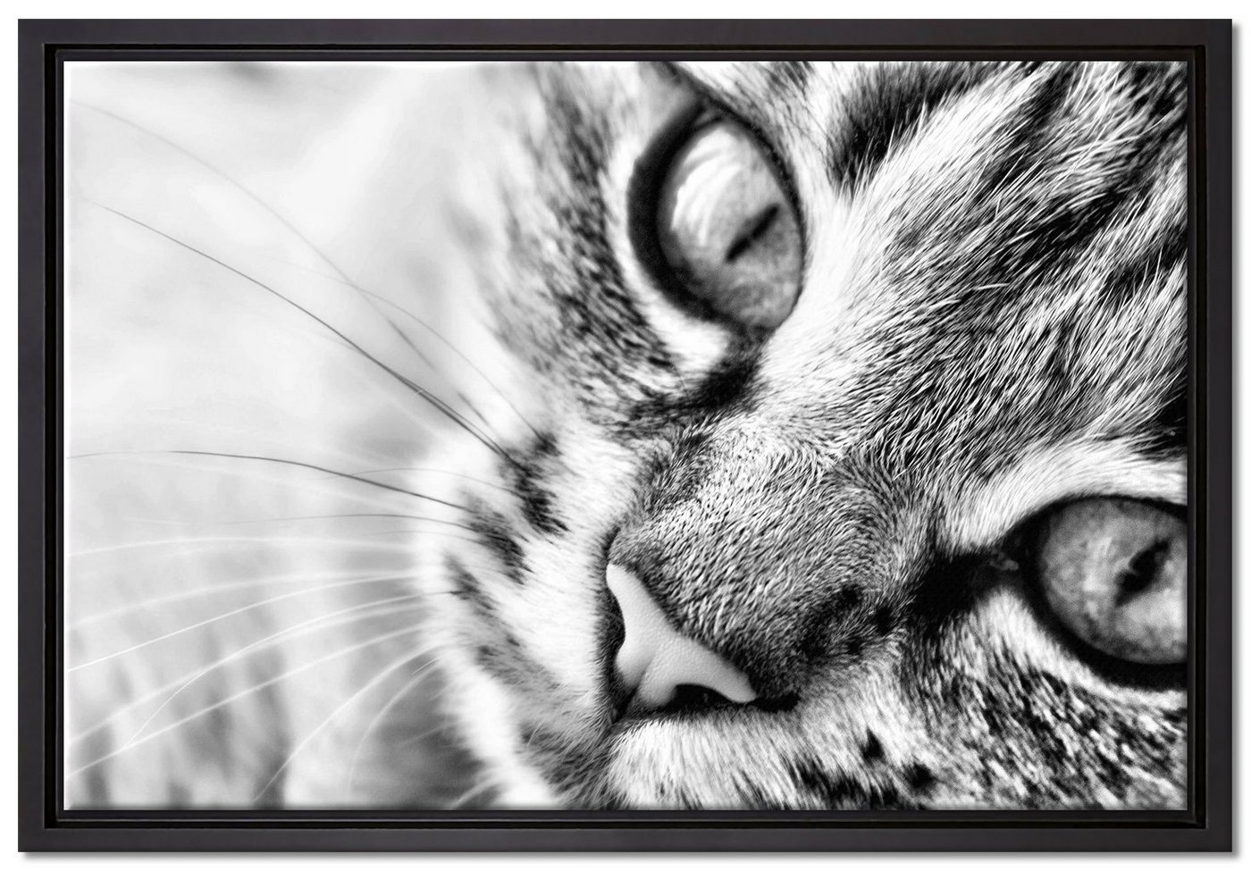 Pixxprint Leinwandbild Große Katzenaugen, Wanddekoration (1 St), Leinwandbild fertig bespannt, in einem Schattenfugen-Bilderrahmen gefasst, inkl. Zackenaufhänger von Pixxprint