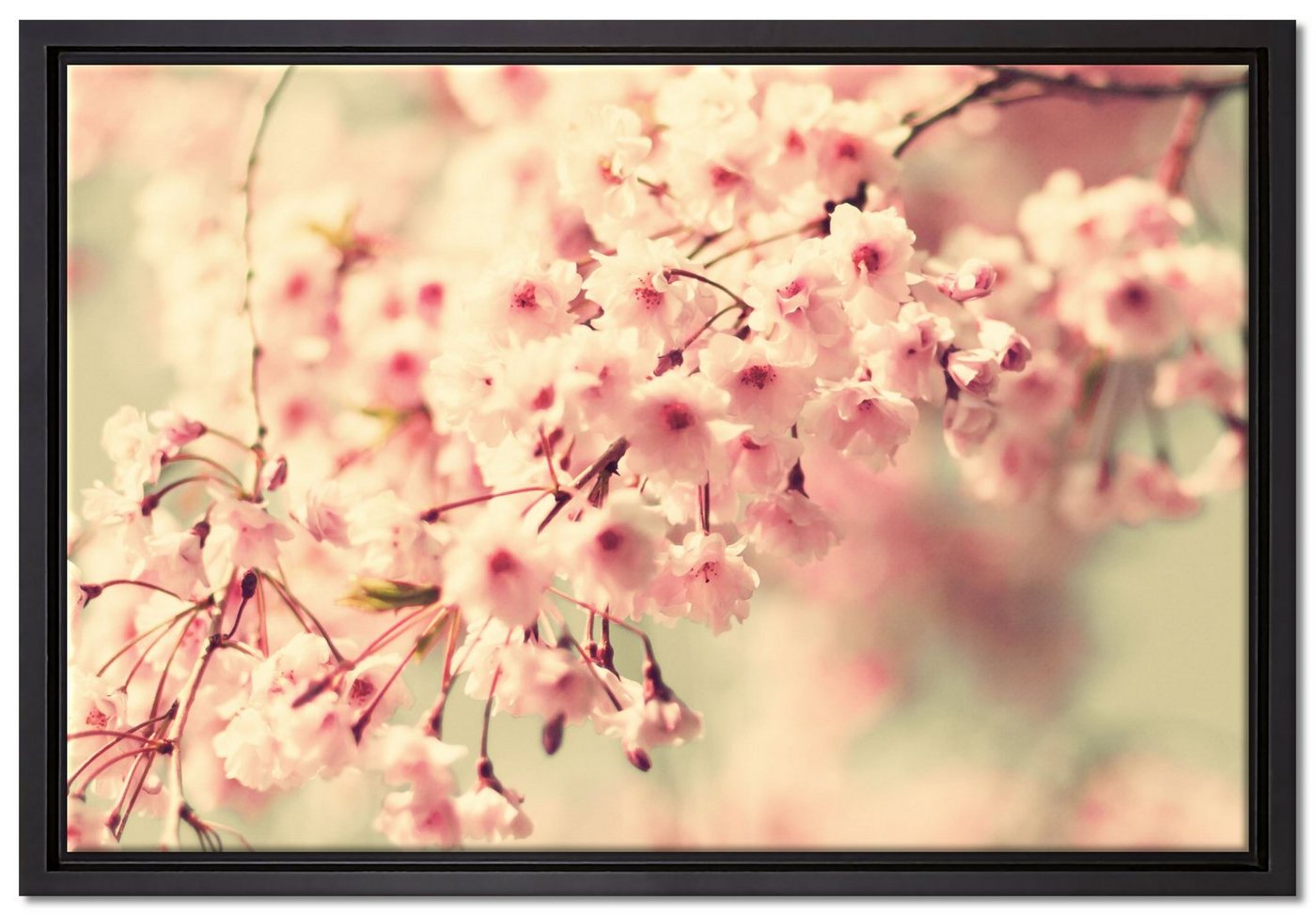 Pixxprint Leinwandbild Kirschblüten, Wanddekoration (1 St), Leinwandbild fertig bespannt, in einem Schattenfugen-Bilderrahmen gefasst, inkl. Zackenaufhänger von Pixxprint