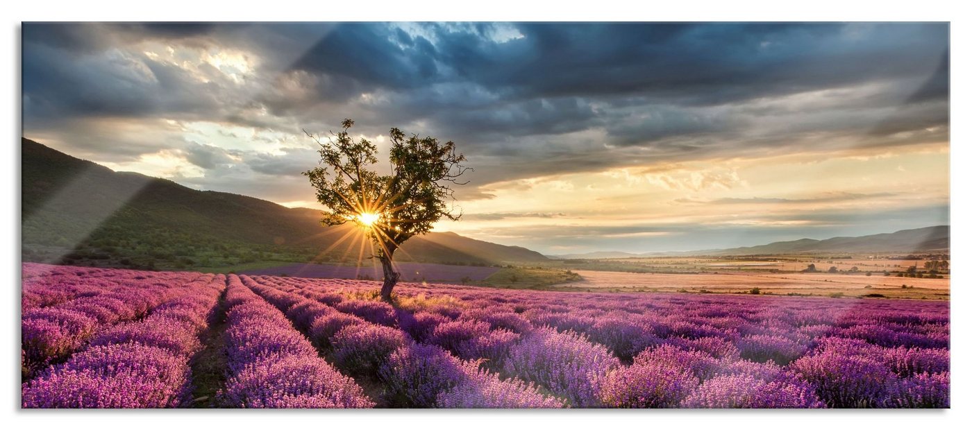Pixxprint Glasbild Lavendel Provence mit Baum, Lavendel Provence mit Baum (1 St), Glasbild aus Echtglas, inkl. Aufhängungen und Abstandshalter von Pixxprint