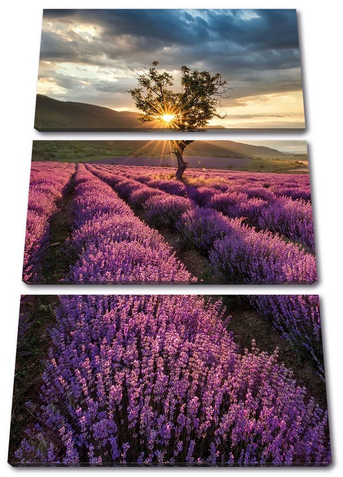 Pixxprint Leinwandbild Lavendel Provence mit Baum, Lavendel Provence mit Baum 3Teiler (120x80cm) (1 St), Leinwandbild fertig bespannt, inkl. Zackenaufhänger von Pixxprint