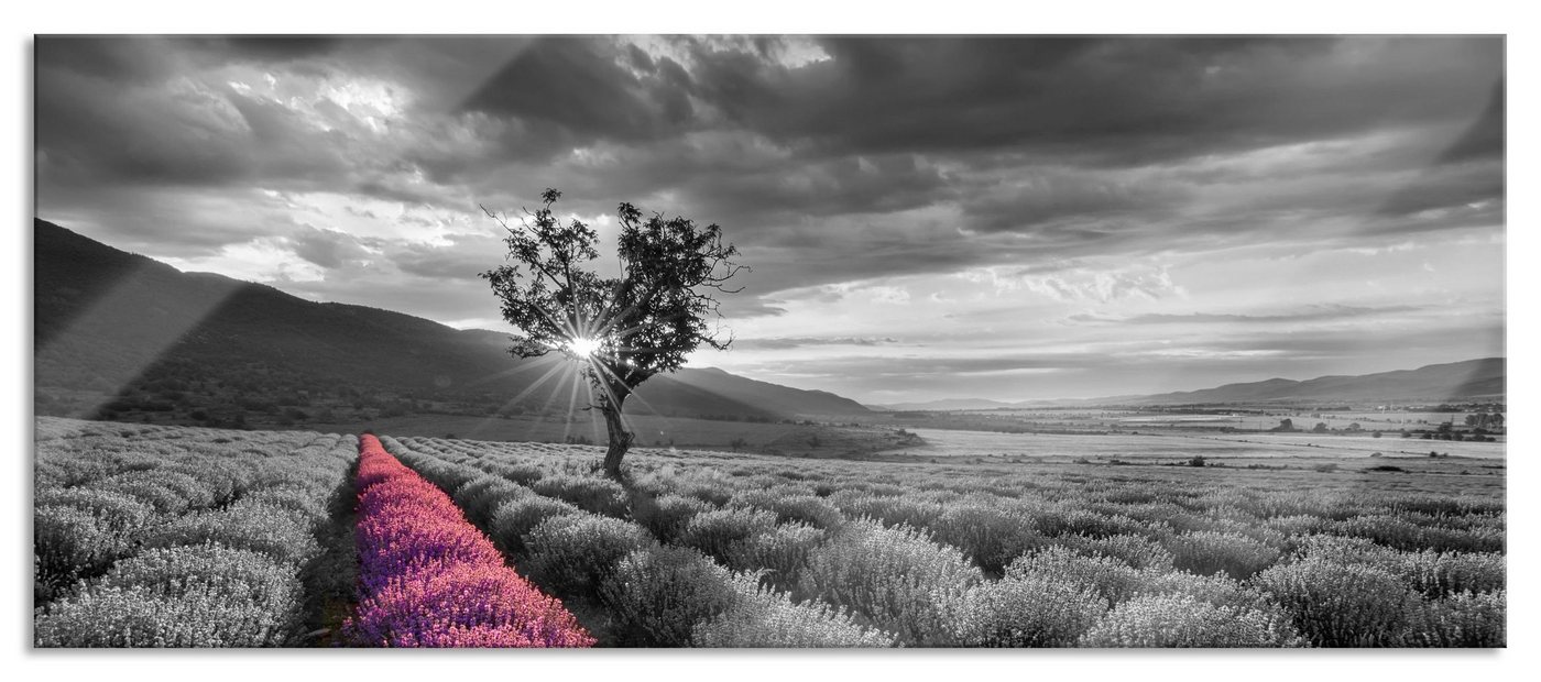 Pixxprint Glasbild Lavendelfeld mit Baum, Lavendelfeld mit Baum (1 St), Glasbild aus Echtglas, inkl. Aufhängungen und Abstandshalter von Pixxprint