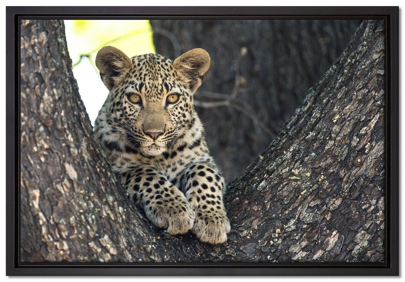 Pixxprint Leinwandbild Leopardenbaby, Wanddekoration (1 St), Leinwandbild fertig bespannt, in einem Schattenfugen-Bilderrahmen gefasst, inkl. Zackenaufhänger von Pixxprint