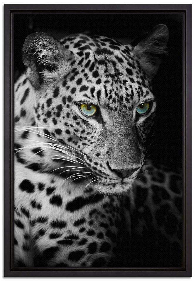 Pixxprint Leinwandbild Leopardenkopf, Wanddekoration (1 St), Leinwandbild fertig bespannt, in einem Schattenfugen-Bilderrahmen gefasst, inkl. Zackenaufhänger von Pixxprint