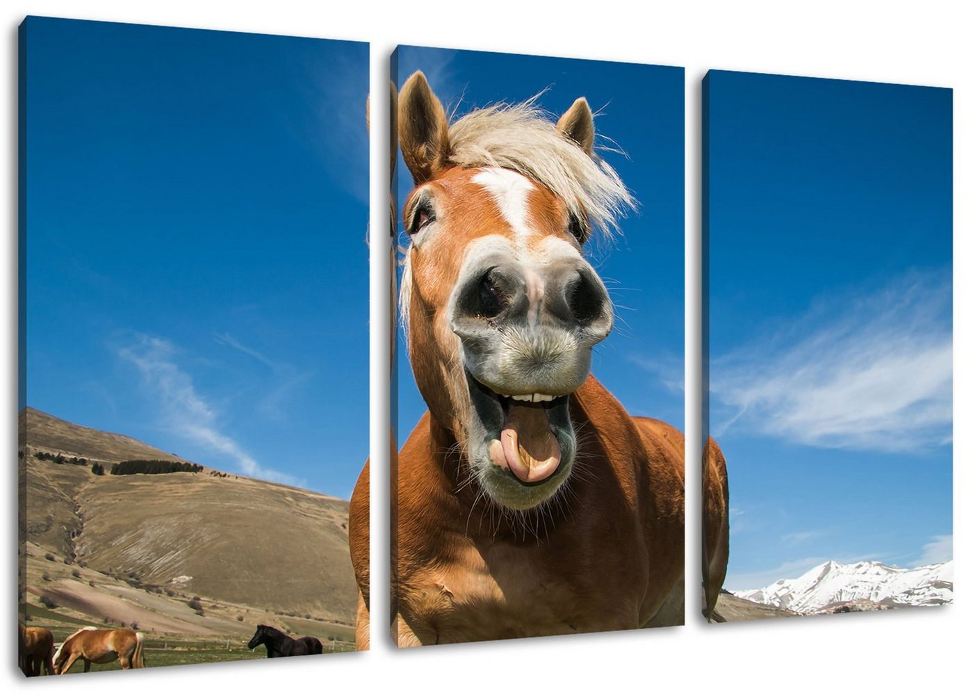 Pixxprint Leinwandbild Lustiges Pferd in der Natur, Lustiges Pferd in der Natur 3Teiler (120x80cm) (1 St), Leinwandbild fertig bespannt, inkl. Zackenaufhänger von Pixxprint