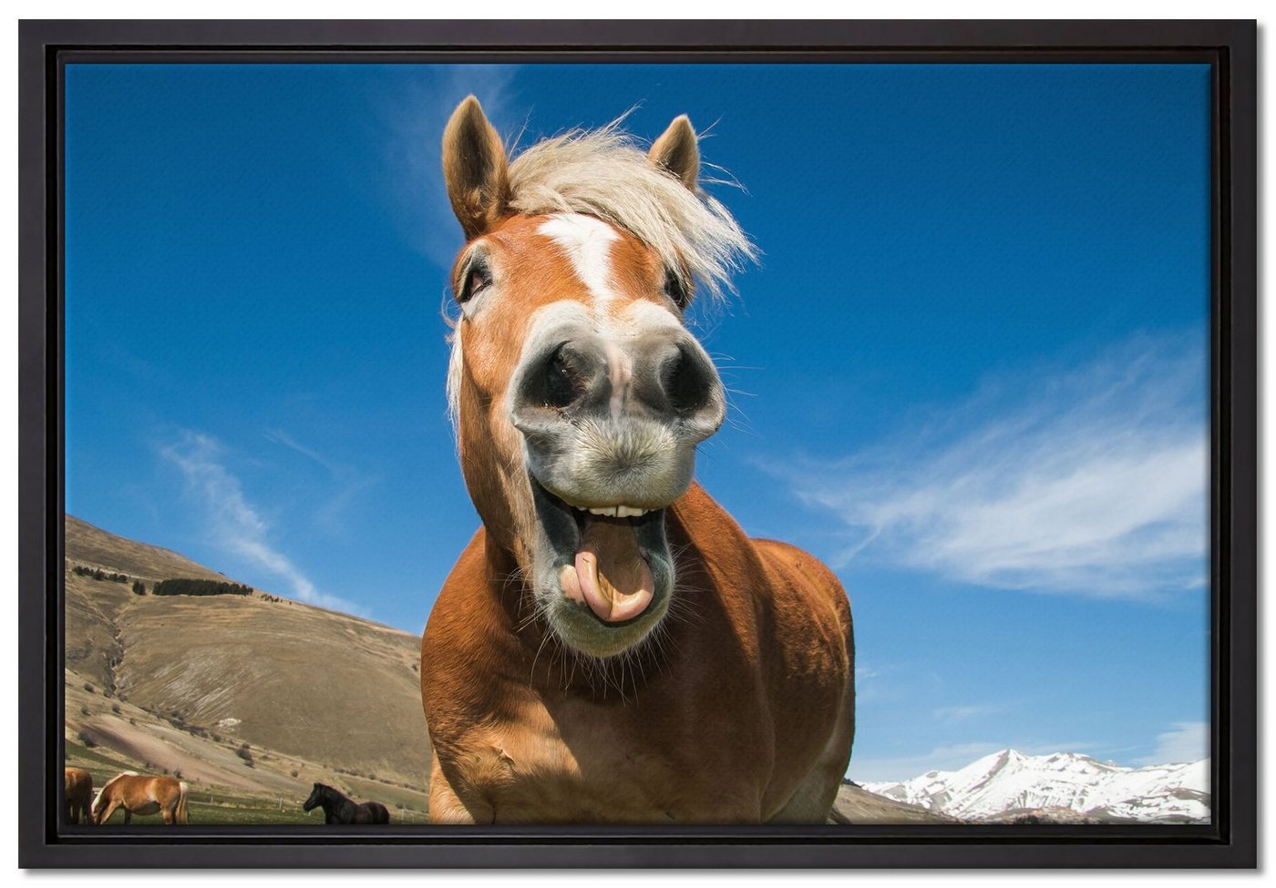Pixxprint Leinwandbild Lustiges Pferd in der Natur, Wanddekoration (1 St), Leinwandbild fertig bespannt, in einem Schattenfugen-Bilderrahmen gefasst, inkl. Zackenaufhänger von Pixxprint