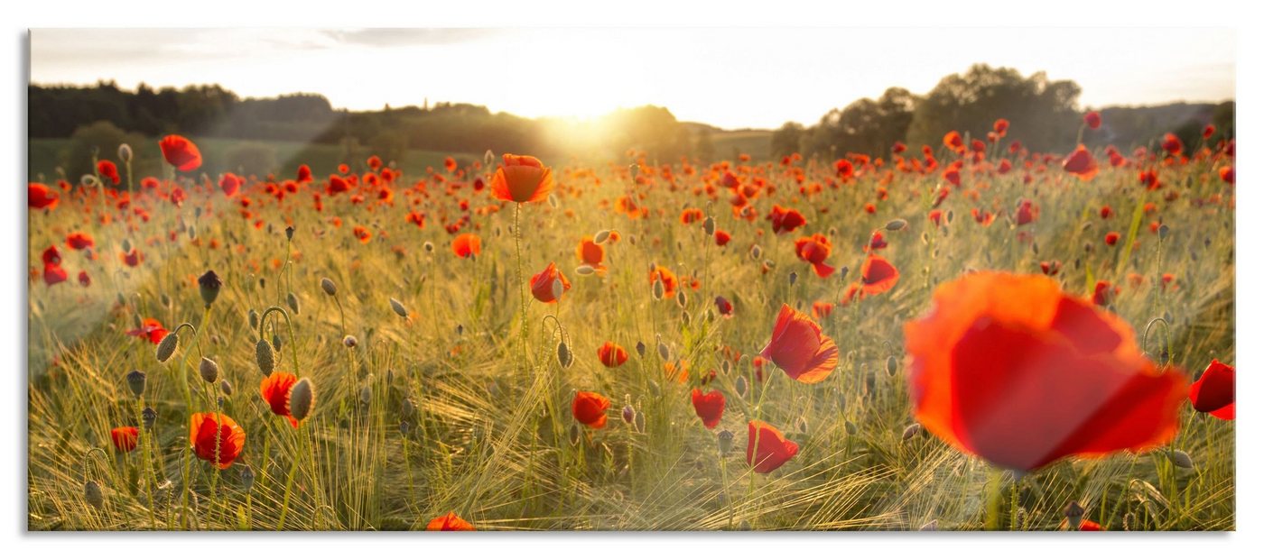 Pixxprint Glasbild Mohnfeld bei Sonnenuntergang, Mohnfeld bei Sonnenuntergang (1 St), Glasbild aus Echtglas, inkl. Aufhängungen und Abstandshalter von Pixxprint