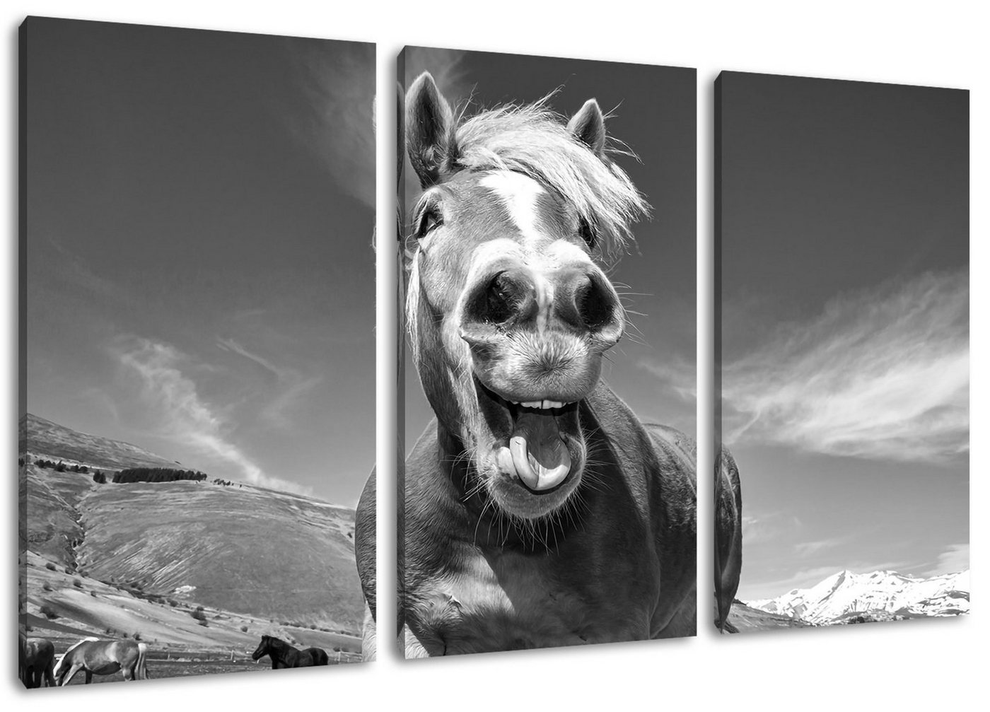 Pixxprint Leinwandbild Pferd in der Natur, Pferd in der Natur 3Teiler (120x80cm) (1 St), Leinwandbild fertig bespannt, inkl. Zackenaufhänger von Pixxprint