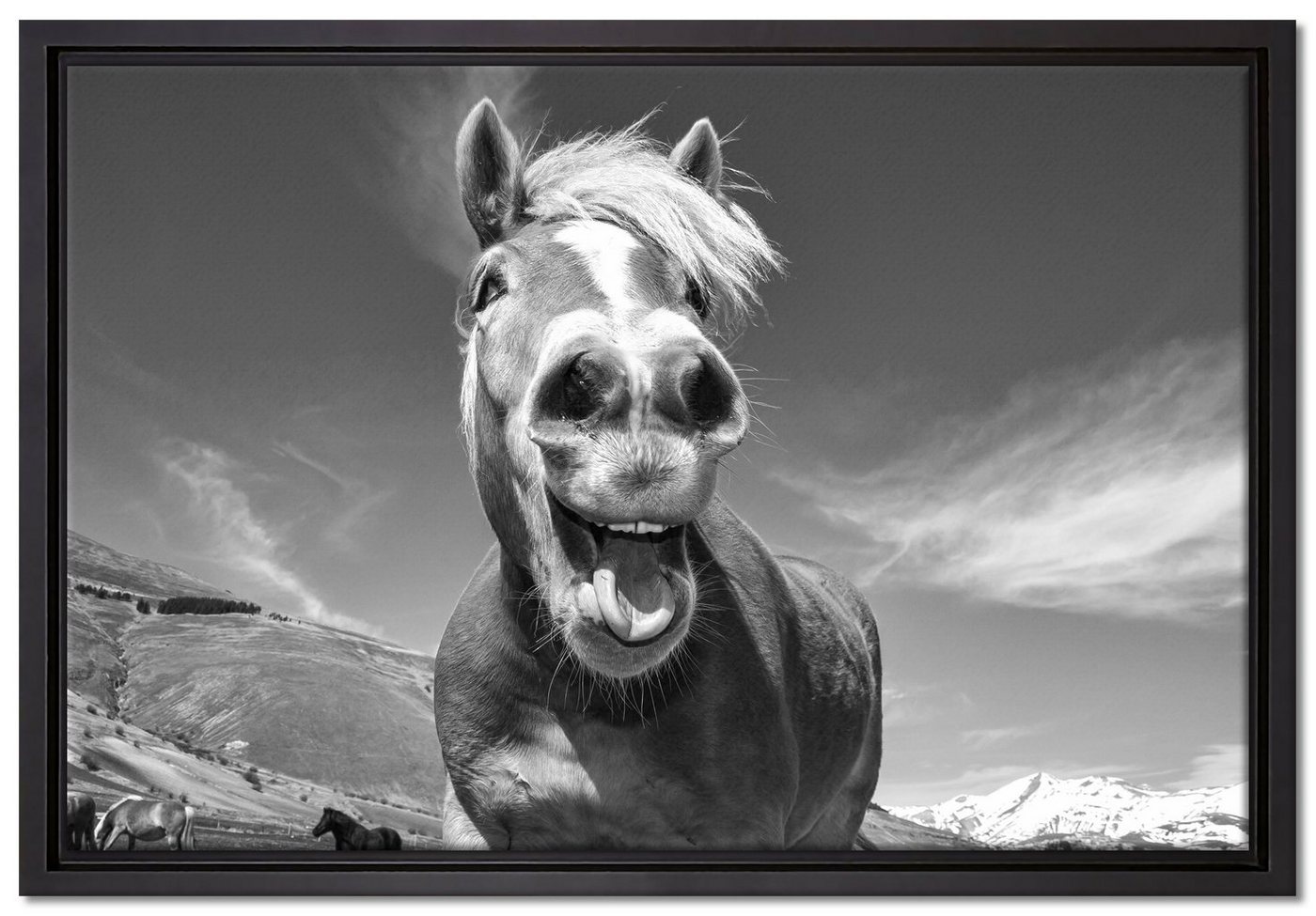 Pixxprint Leinwandbild Pferd in der Natur, Wanddekoration (1 St), Leinwandbild fertig bespannt, in einem Schattenfugen-Bilderrahmen gefasst, inkl. Zackenaufhänger von Pixxprint