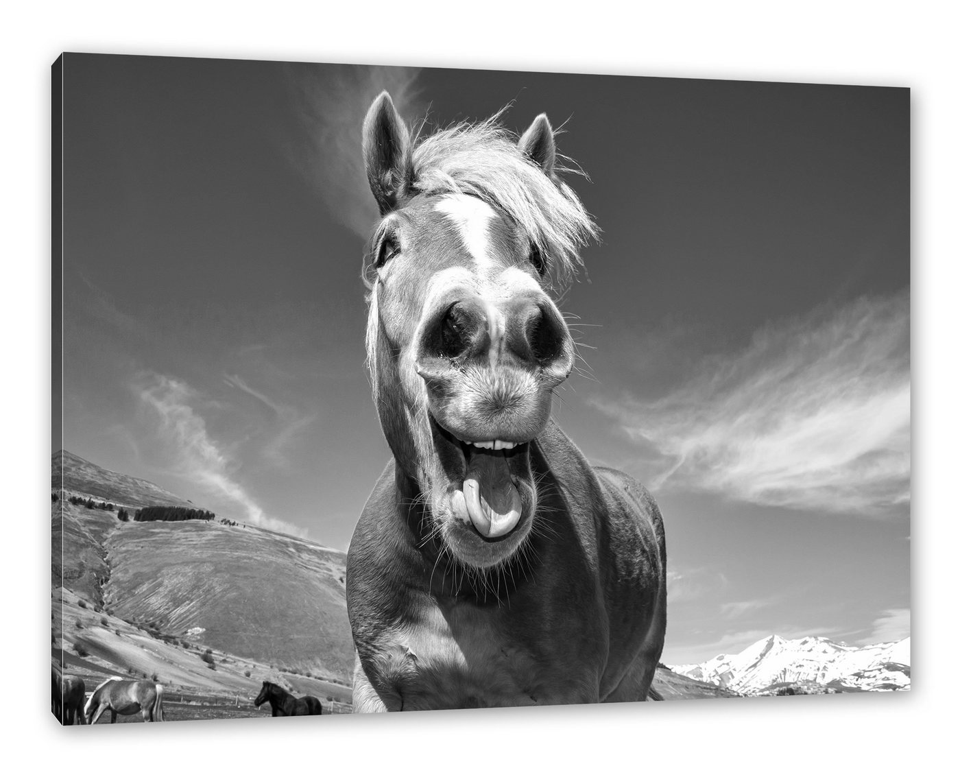 Pixxprint Leinwandbild Pferd in der Natur, Pferd in der Natur (1 St), Leinwandbild fertig bespannt, inkl. Zackenaufhänger von Pixxprint