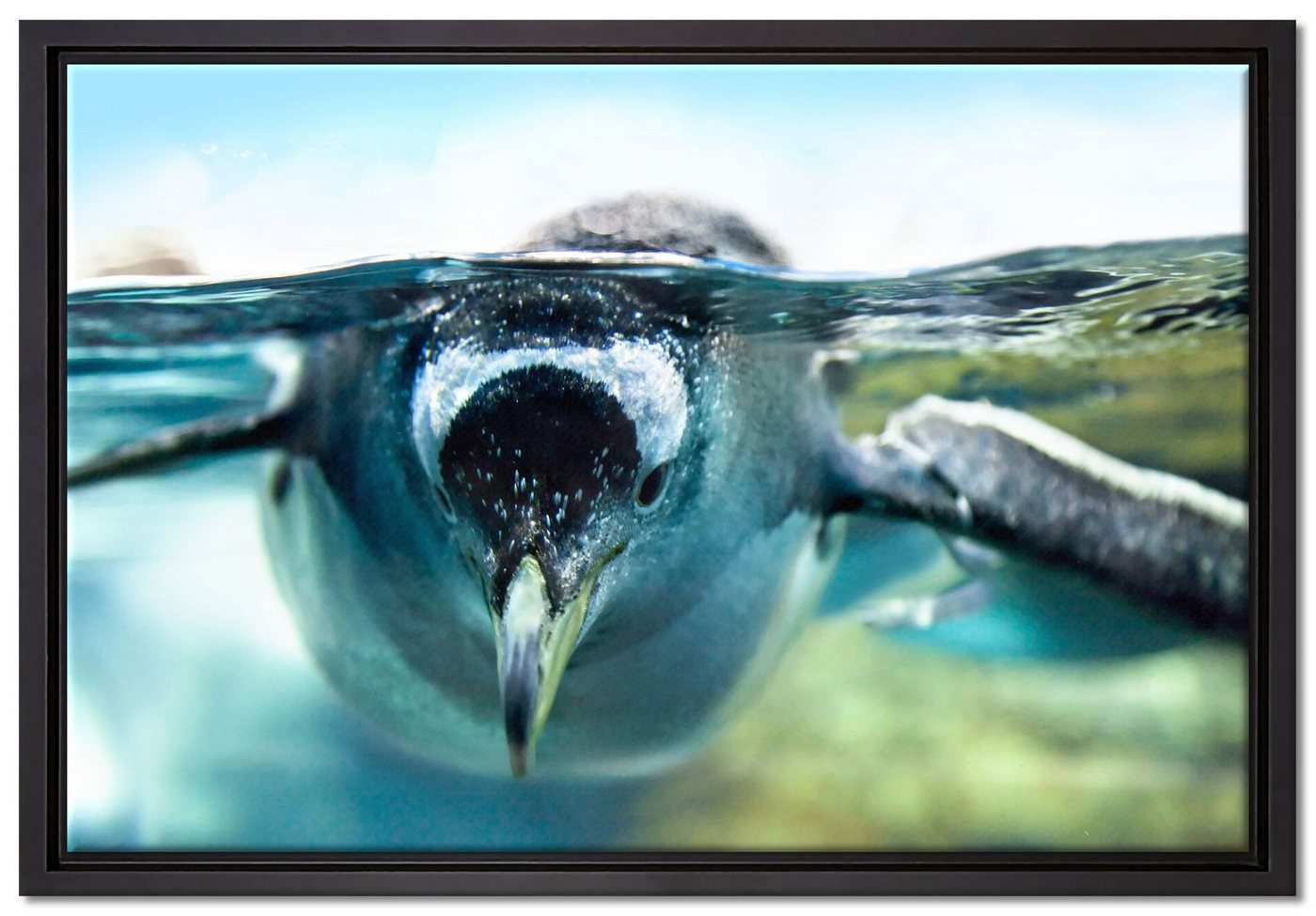 Pixxprint Leinwandbild Pinguin im Wasser, Wanddekoration (1 St), Leinwandbild fertig bespannt, in einem Schattenfugen-Bilderrahmen gefasst, inkl. Zackenaufhänger von Pixxprint