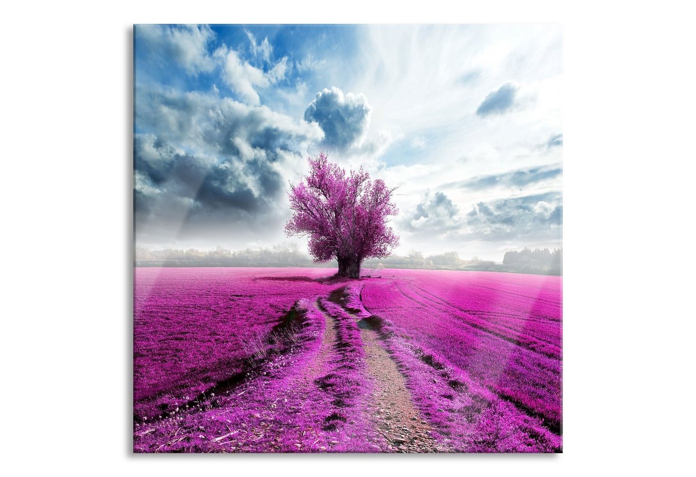 Pixxprint Glasbild Pinkes Feld mit pinkem Baum, Pinkes Feld mit pinkem Baum (1 St), Glasbild aus Echtglas, inkl. Aufhängungen und Abstandshalter von Pixxprint