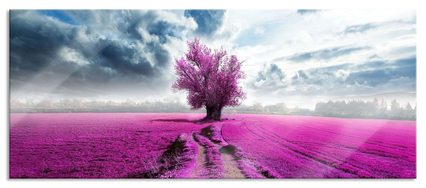 Pixxprint Glasbild Pinkes Feld mit pinkem Baum, Pinkes Feld mit pinkem Baum (1 St), Glasbild aus Echtglas, inkl. Aufhängungen und Abstandshalter von Pixxprint