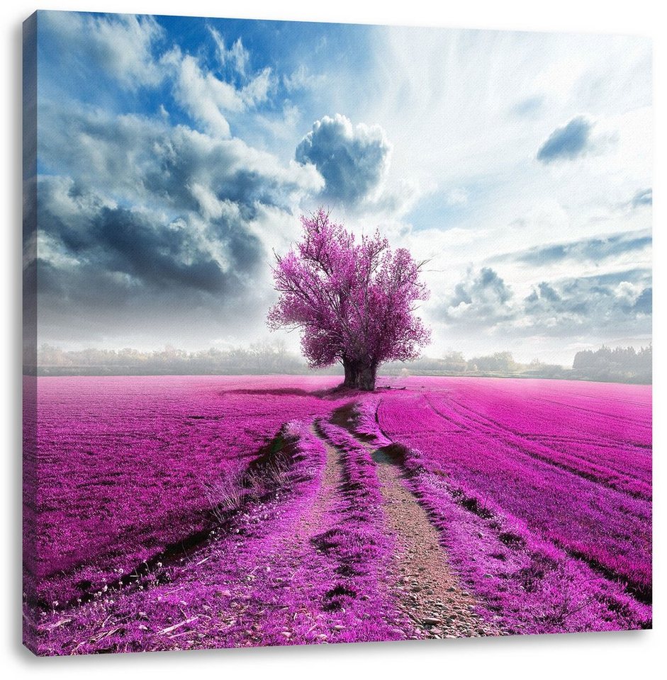 Pixxprint Leinwandbild Pinkes Feld mit pinkem Baum, Pinkes Feld mit pinkem Baum (1 St), Leinwandbild fertig bespannt, inkl. Zackenaufhänger von Pixxprint