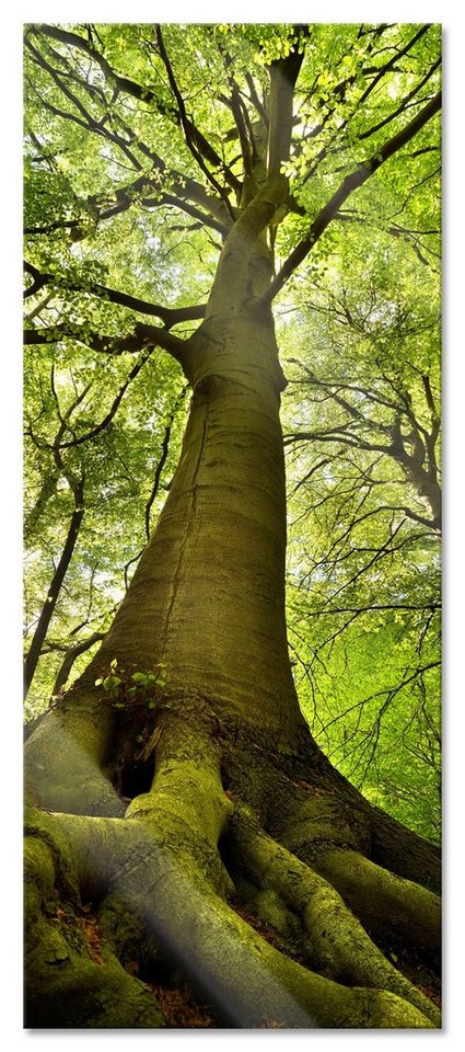 Pixxprint Glasbild Riesiger Baum im Dschungel, Riesiger Baum im Dschungel (1 St), Glasbild aus Echtglas, inkl. Aufhängungen und Abstandshalter von Pixxprint