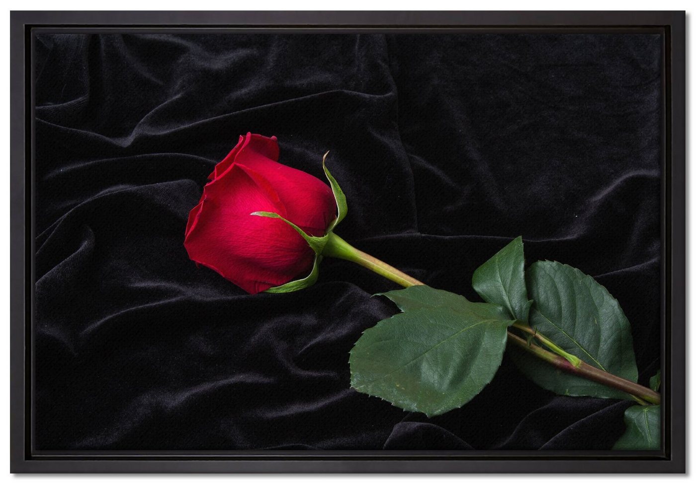 Pixxprint Leinwandbild Rose, Wanddekoration (1 St), Leinwandbild fertig bespannt, in einem Schattenfugen-Bilderrahmen gefasst, inkl. Zackenaufhänger von Pixxprint