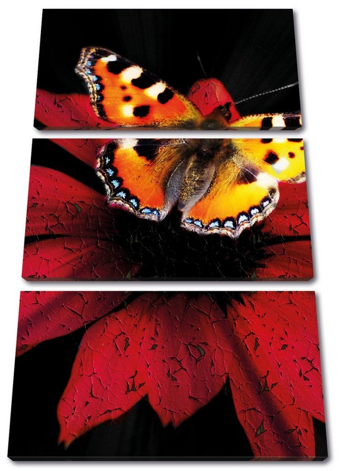 Pixxprint Leinwandbild Schmetterling auf roter Blüte, Schmetterling auf roter Blüte 3Teiler (120x80cm) (1 St), Leinwandbild fertig bespannt, inkl. Zackenaufhänger von Pixxprint