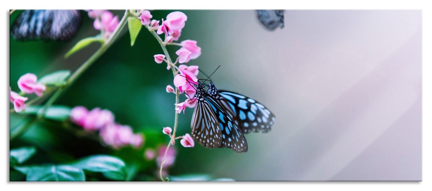 Pixxprint Glasbild Schmetterlinge auf rosa Blumen, Schmetterlinge auf rosa Blumen (1 St), Glasbild aus Echtglas, inkl. Aufhängungen und Abstandshalter von Pixxprint