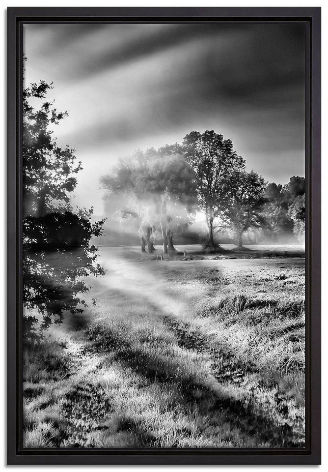 Pixxprint Leinwandbild Sonnenuntergang, Wanddekoration (1 St), Leinwandbild fertig bespannt, in einem Schattenfugen-Bilderrahmen gefasst, inkl. Zackenaufhänger von Pixxprint