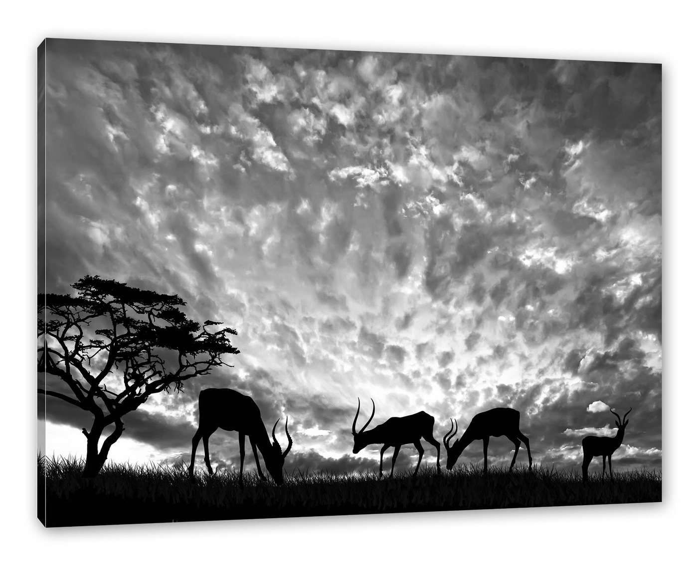 Pixxprint Leinwandbild Tiere in der Natur, Tiere in der Natur (1 St), Leinwandbild fertig bespannt, inkl. Zackenaufhänger von Pixxprint