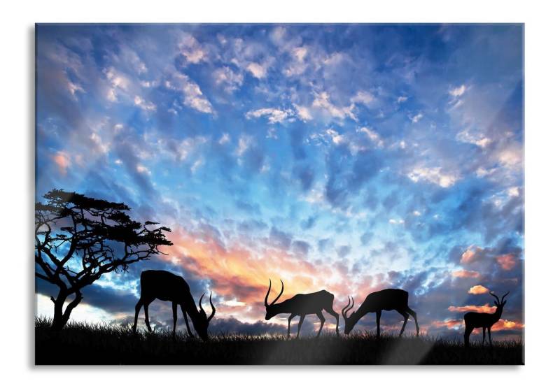 Pixxprint Glasbild Tiere in der Natur am Abend, Tiere in der Natur am Abend (1 St), Glasbild aus Echtglas, inkl. Aufhängungen und Abstandshalter von Pixxprint