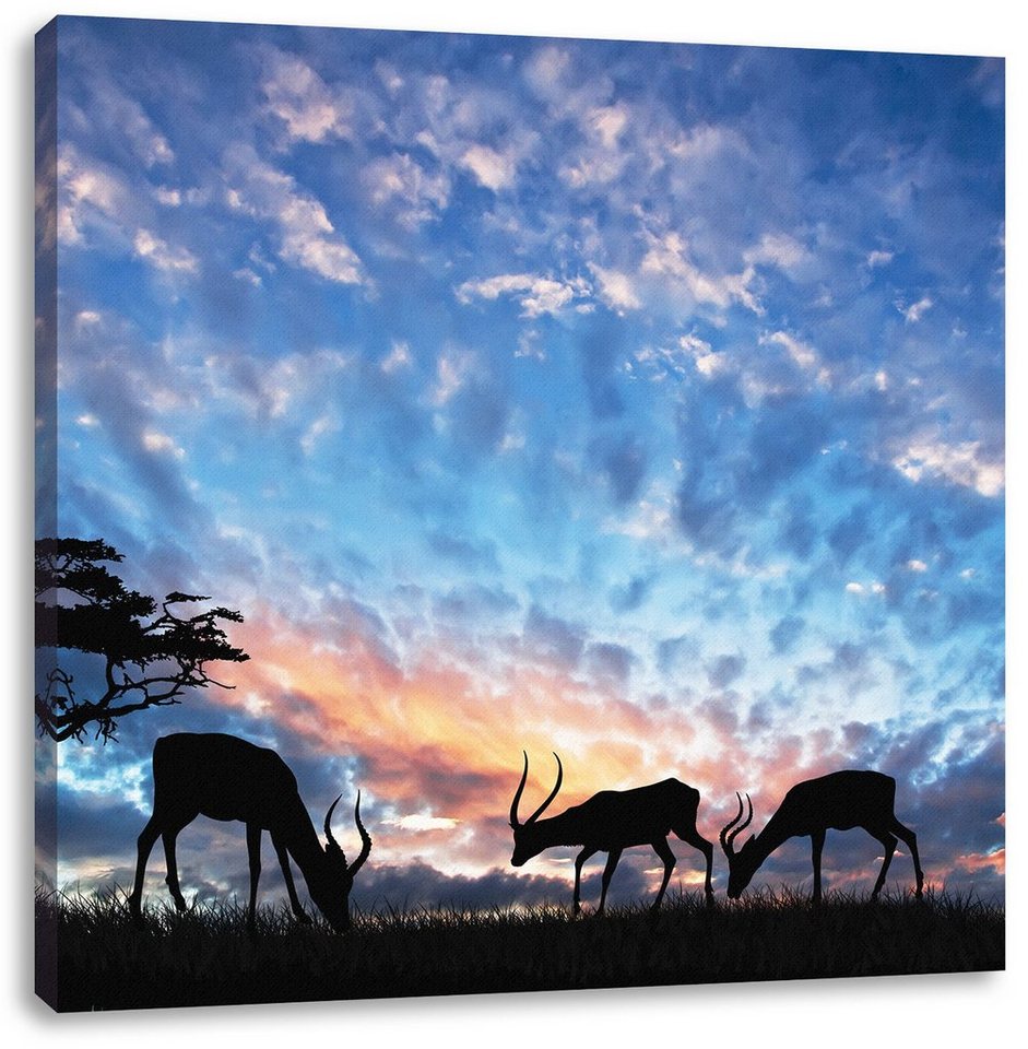 Pixxprint Leinwandbild Tiere in der Natur am Abend, Tiere in der Natur am Abend (1 St), Leinwandbild fertig bespannt, inkl. Zackenaufhänger von Pixxprint