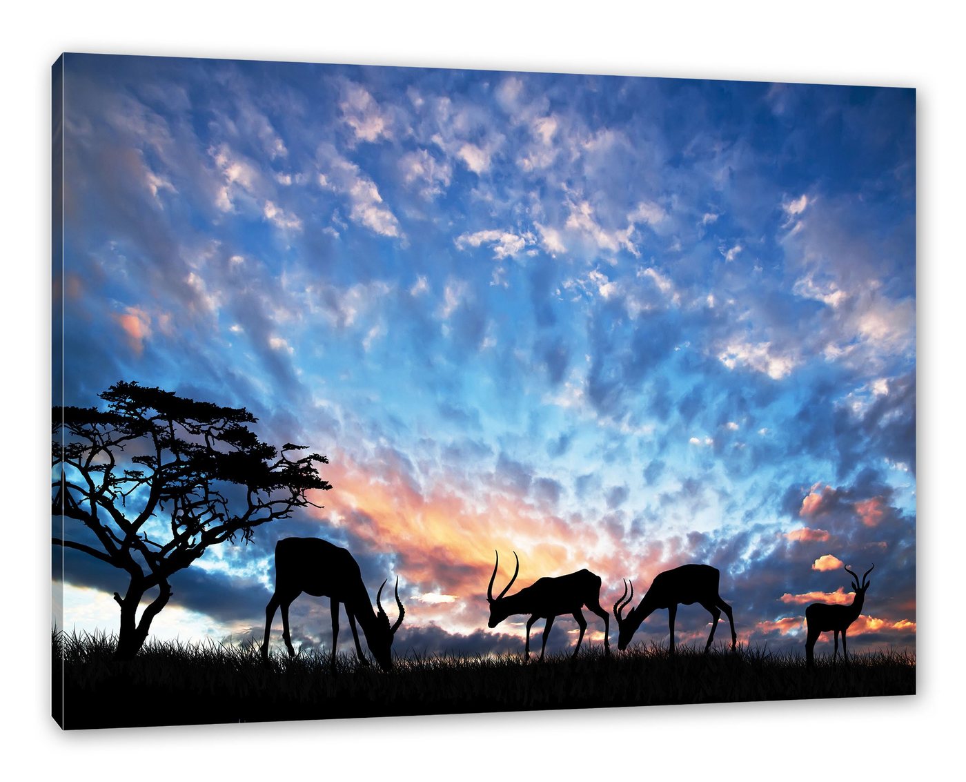 Pixxprint Leinwandbild Tiere in der Natur am Abend, Tiere in der Natur am Abend (1 St), Leinwandbild fertig bespannt, inkl. Zackenaufhänger von Pixxprint
