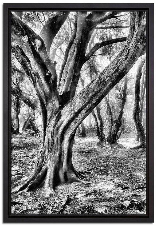 Pixxprint Leinwandbild Wald, Wanddekoration (1 St), Leinwandbild fertig bespannt, in einem Schattenfugen-Bilderrahmen gefasst, inkl. Zackenaufhänger von Pixxprint