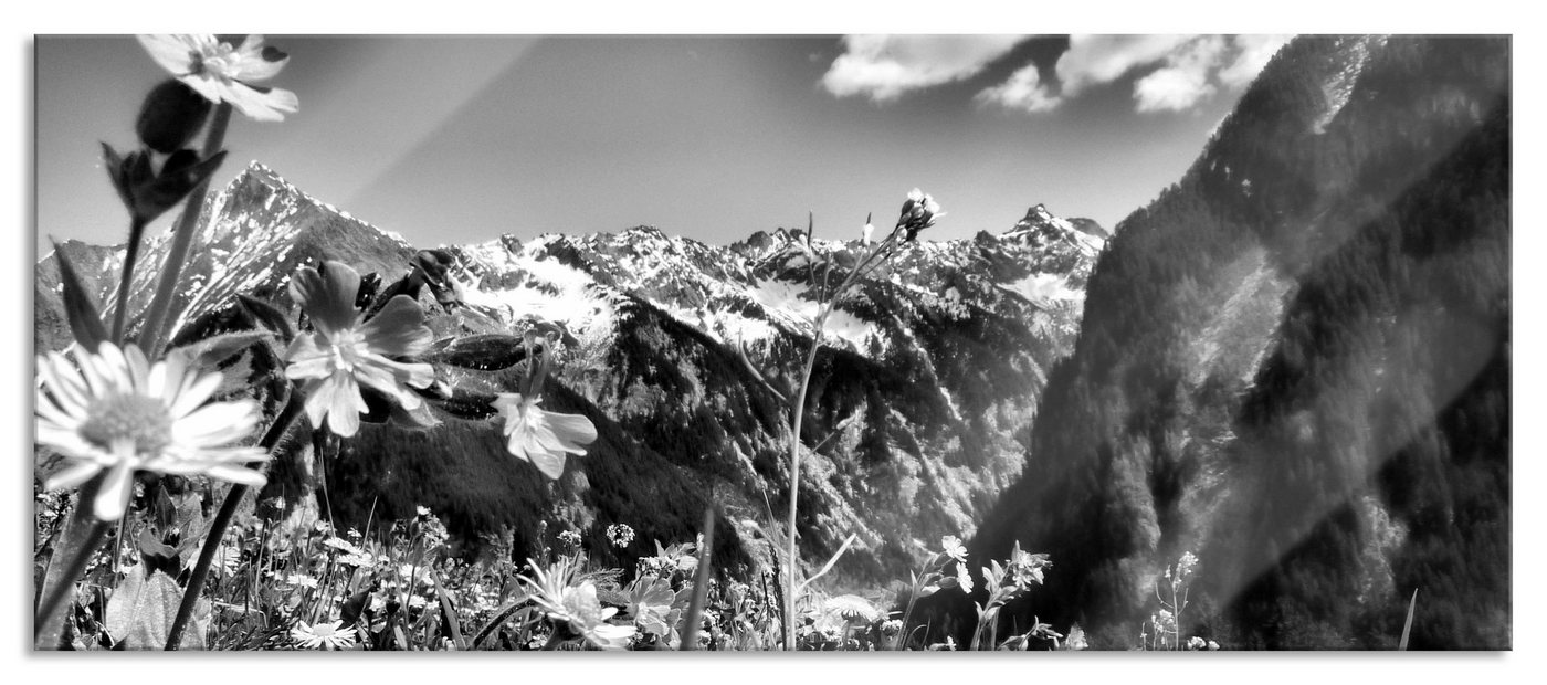 Pixxprint Glasbild Wunderschöne Blumen Alpenwiese, Wunderschöne Blumen Alpenwiese (1 St), Glasbild aus Echtglas, inkl. Aufhängungen und Abstandshalter von Pixxprint