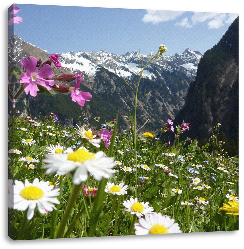 Pixxprint Leinwandbild Wunderschöne Blumen Alpenwiese, Wunderschöne Blumen Alpenwiese (1 St), Leinwandbild fertig bespannt, inkl. Zackenaufhänger von Pixxprint