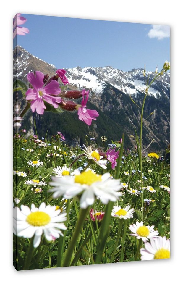 Pixxprint Leinwandbild Wunderschöne Blumen Alpenwiese, Wunderschöne Blumen Alpenwiese (1 St), Leinwandbild fertig bespannt, inkl. Zackenaufhänger von Pixxprint