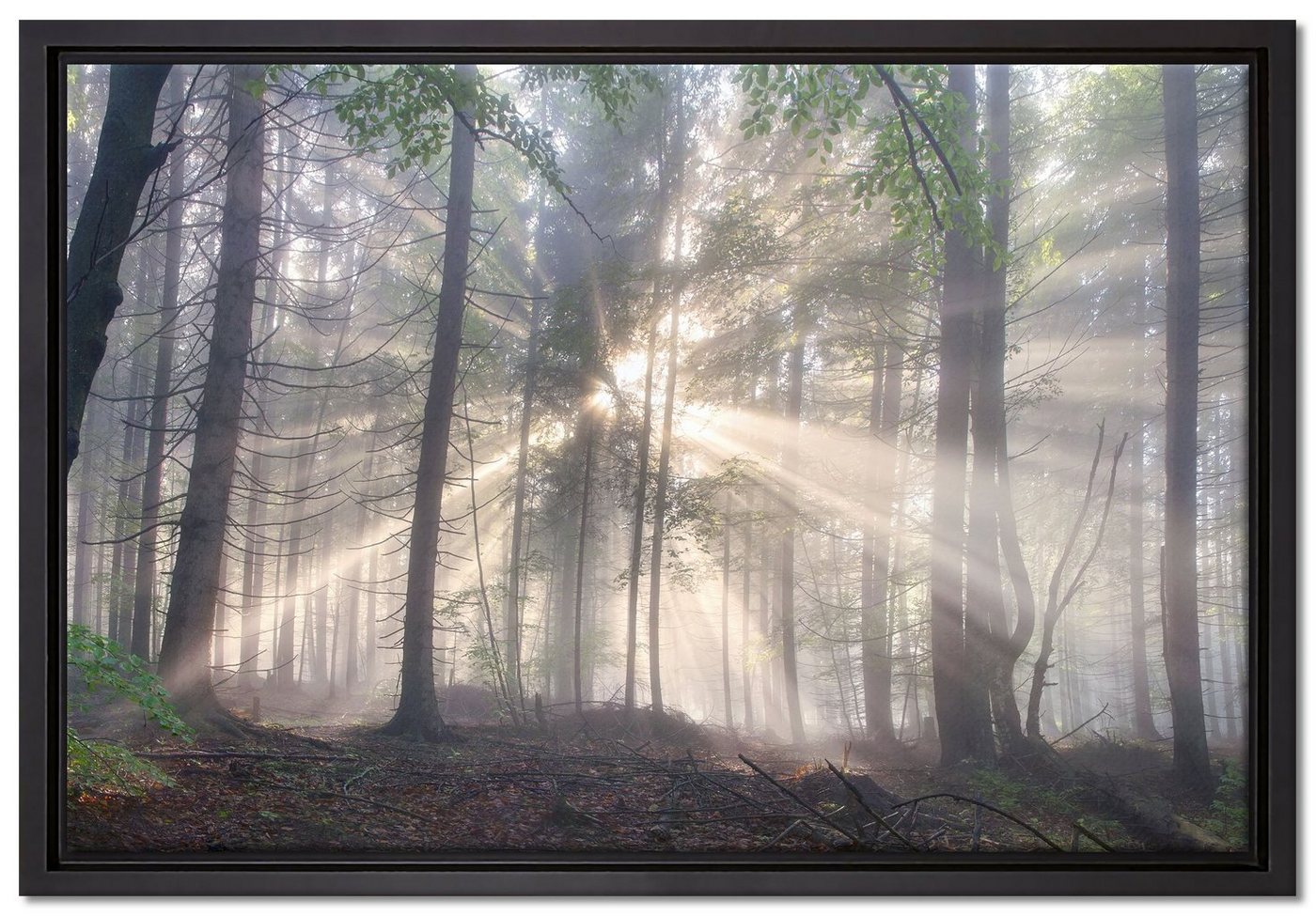 Pixxprint Leinwandbild diesiger Waldweg, Wanddekoration (1 St), Leinwandbild fertig bespannt, in einem Schattenfugen-Bilderrahmen gefasst, inkl. Zackenaufhänger von Pixxprint