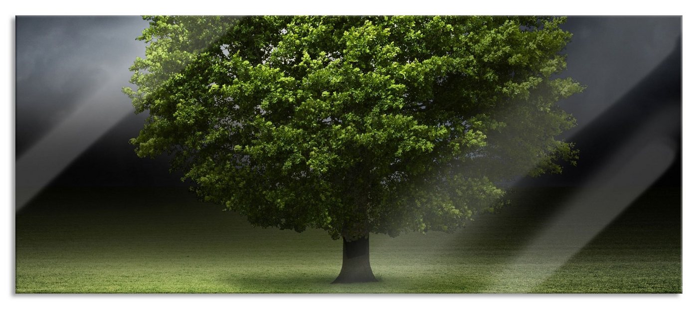 Pixxprint Glasbild einzelner Baum auf grüner Wiese, einzelner Baum auf grüner Wiese (1 St), Glasbild aus Echtglas, inkl. Aufhängungen und Abstandshalter von Pixxprint