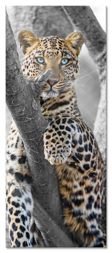 Pixxprint Glasbild majestätischer Leopard auf Baum, majestätischer Leopard auf Baum (1 St), Glasbild aus Echtglas, inkl. Aufhängungen und Abstandshalter von Pixxprint