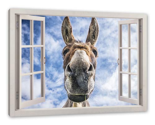 Pixxprint Lustiger Esel, Fenster Leinwandbild | Größe: 120x80 cm | Wandbild | Kunstdruck von Pixxprint