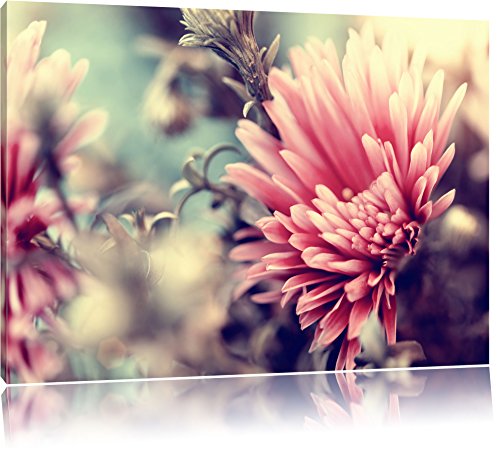 Pixxprint Romantische Blumen, Größe: 100x70cm, Leinwandbild, fertig gespannt, Wandbild, Dekoration, Kunstdruck, kein Poster von Pixxprint