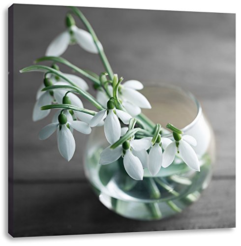 Pixxprint Schneeglöckchen in der Vase, Größe: 60x60 cm, Leinwandbild Quadratisch, Wandbild, Kunstdruck, fertig bespannt Pixxprint Schneeglöckchen in der Vase, Größe: 60x60 cm, Leinwandbild Quadratisch, Wandbild, Kunstdruck, fertig bespannt von Pixxprint