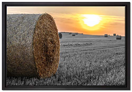 Pixxprint Strohballen auf Feld Leinwandbild 60x40 cm im Bilderahmen, Wandbild, Schattenfugenrahmen, Kein Poster Pixxprint Strohballen auf Feld Leinwandbild 60x40 cm im Bilderahmen, Wandbild, Schattenfugenrahmen, Kein Poster von Pixxprint