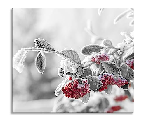 Vogelbeeren im frostigen Winter Herdabdeckplatte & Spritzschutz aus Echtglas | Für Herd-Kochfelder | 60x52 cm von Pixxprint