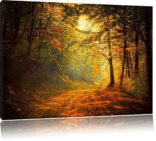 Pixxprint Wald, Größe: 120x80cm, Leinwandbild, fertig gespannt, Wandbild, Dekoration, Kunstdruck, kein Poster Pixxprint Wald, Größe: 120x80cm, Leinwandbild, fertig gespannt, Wandbild, Dekoration, Kunstdruck, kein Poster von Pixxprint