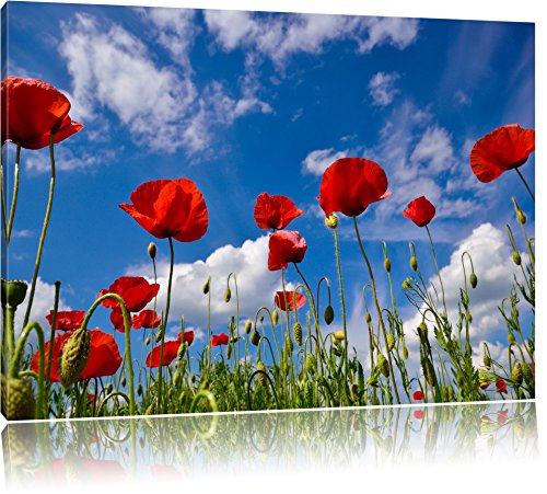 Pixxprint Wiese mit Blumen, Größe: 60x40cm, Leinwandbild, fertig gespannt, Wandbild, Dekoration, Kunstdruck, kein Poster von Pixxprint