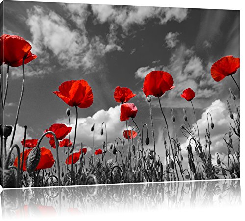 Pixxprint Wiese mit Blumen, Größe: 80x60cm, Leinwandbild, fertig gespannt, Wandbild, Dekoration, Kunstdruck, kein Poster von Pixxprint